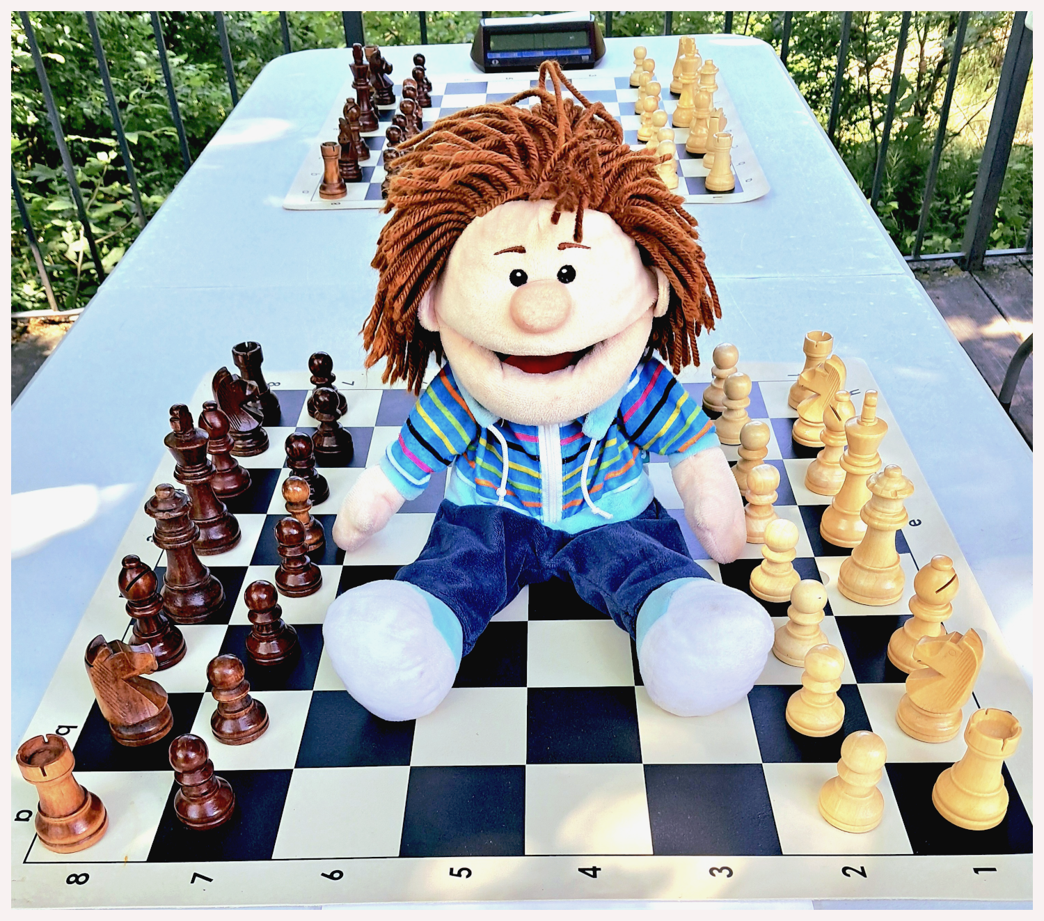 Patrik Pat sedí na šachovnici