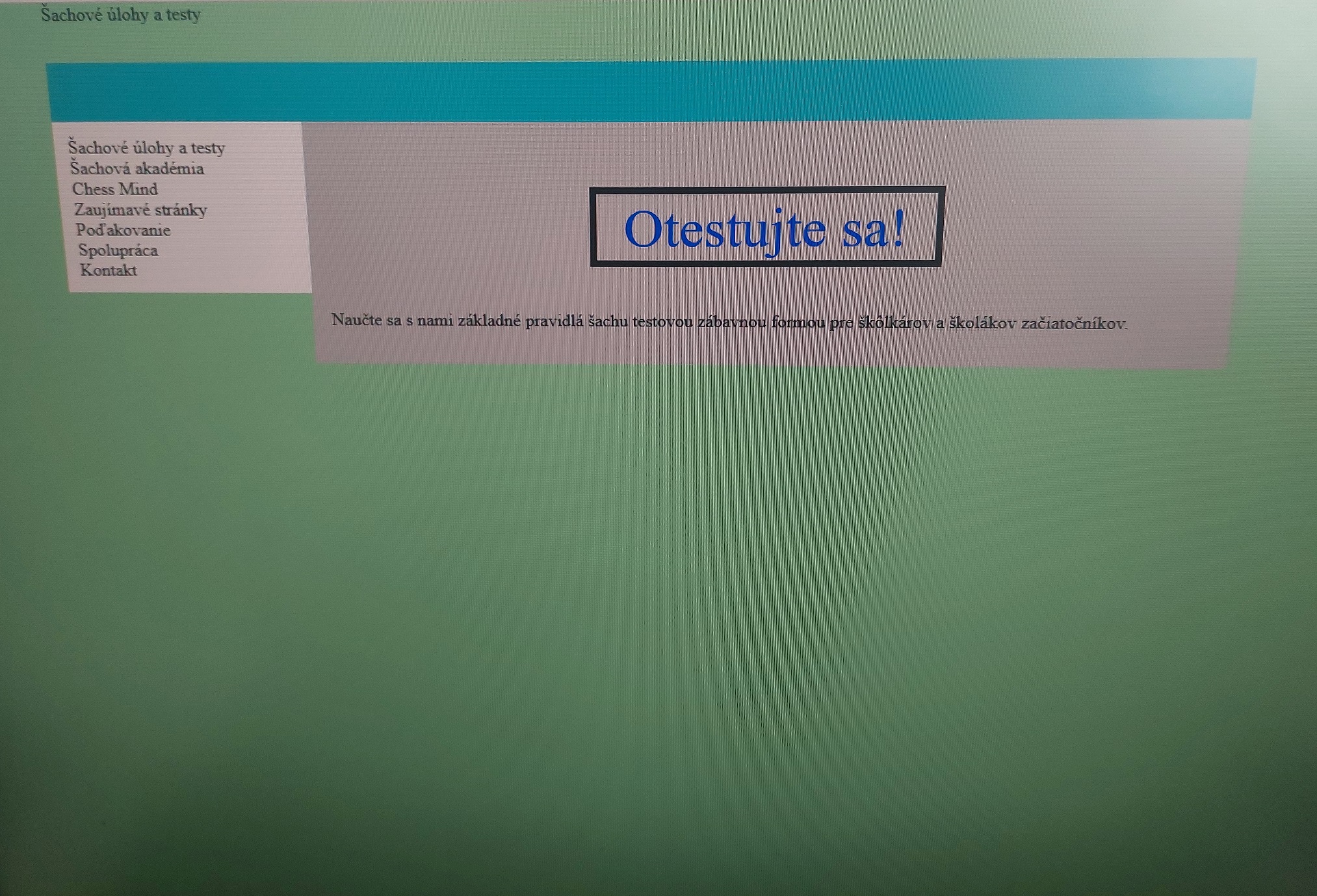 prvá podoba webu na obrazovke počítača